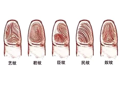 手指螺旋紋|手指螺纹一到十的解说 手指螺纹看命运